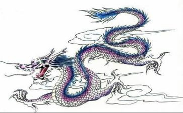 变色龙教案教案5篇
