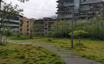 楼院支部工作总结参考5篇