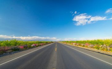 铁路辞职报告7篇