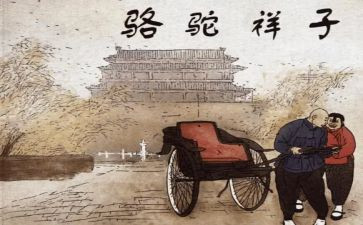 骆驼的祥子心得体会5篇