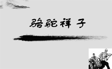 卖骆驼的读后感优质7篇