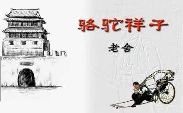 卖骆驼的读后感5篇