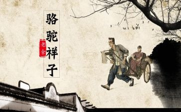 卖骆驼读后感300字模板5篇