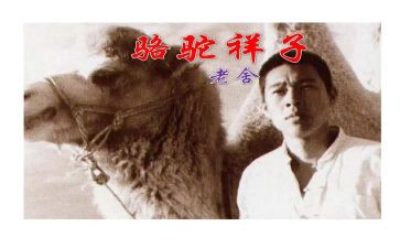 卖骆驼的读后感通用8篇