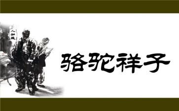 骆驼祥子感悟600字作文7篇