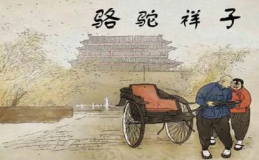 卖骆驼读后感300字最新7篇