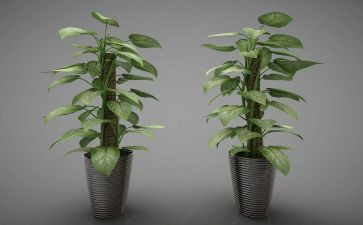 物业小区绿化工作计划7篇