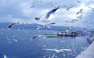 省旅游工作总结6篇