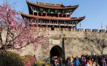 旅游管理的自我鉴定通用7篇