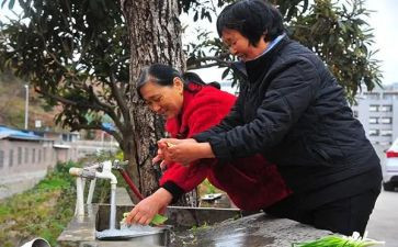 满意的答卷作文600字5篇