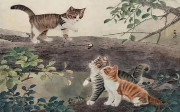 猫的旅行记作文500字5篇
