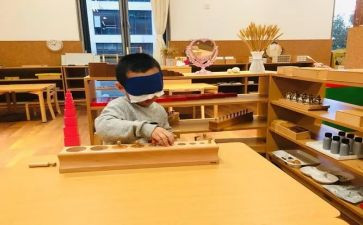 蒙氏教学月计划通用5篇