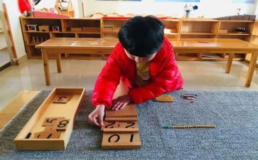 蒙氏幼儿园班级工作总结模板6篇