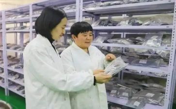 蒙医门诊工作总结最新7篇