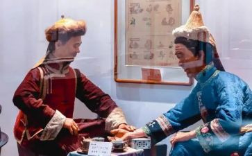 蒙医主任医师的工作总结范文7篇