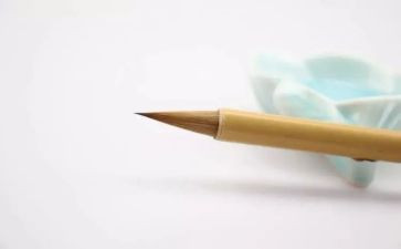 大自然真让我着了迷作文优秀7篇
