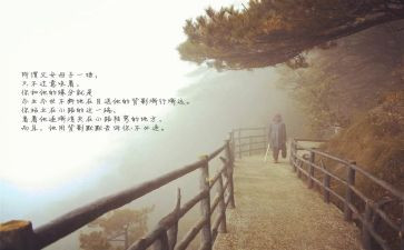 目送读后感作文5篇