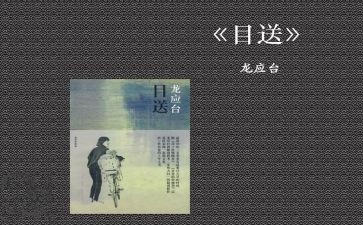 目送的读后感800字8篇