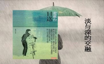 龙应台的《目送》读后感模板7篇