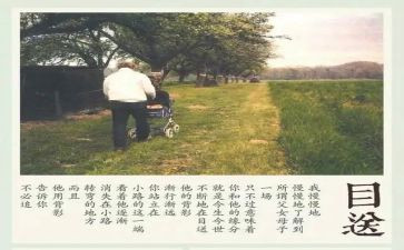 龙应台的目送的读后感优质8篇