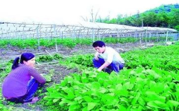 农技培训心得体会8篇