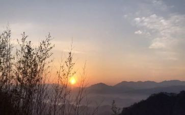 盼读后感500字推荐7篇