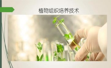 培养青年教师工作计划优秀8篇