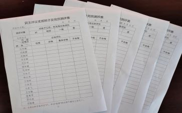 一报告两评议工作总结报告8篇