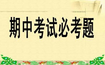 初中教师期中工作总结7篇