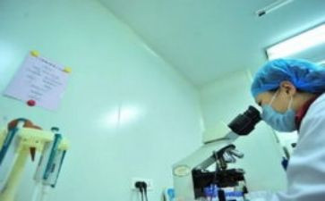 新人工作计划销售5篇