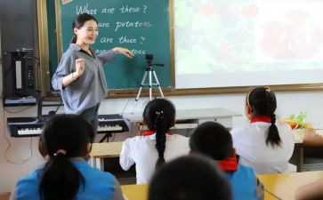 小学班主任教学工作计划2023最新5篇