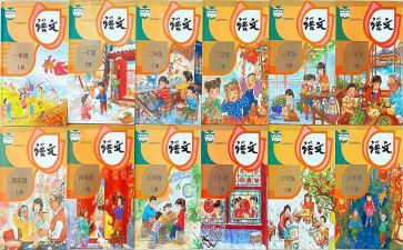 体育老师个人教学总结6篇