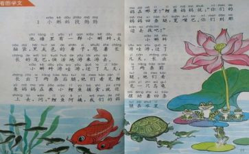 数学个人教学总结5篇