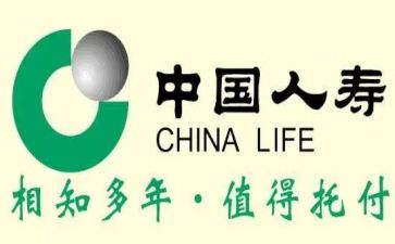 中国人寿周工作总结7篇