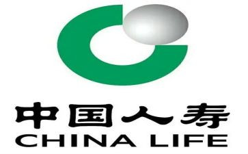 中国人寿的心得7篇