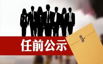 自任职以来的工作总结7篇