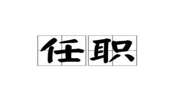 任职工作总结和工作总结推荐6篇
