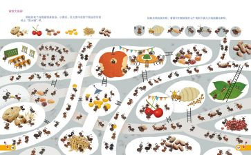 认知实践报告5篇
