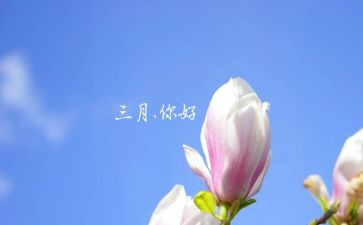 中班三月份工作计划5篇