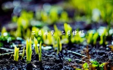 销售类三月份工作计划6篇