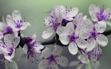 物业2023三月工作计划5篇