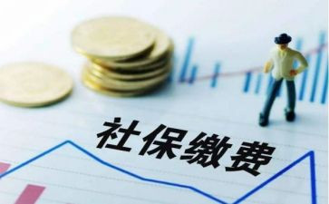 财务社保工作总结7篇