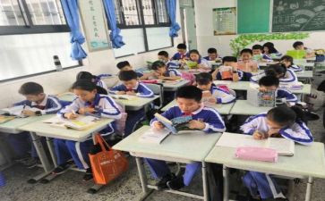 社会课工作总结最新5篇