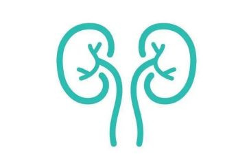 肾内科护士述职报告参考7篇