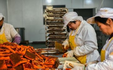 生产安全半年工作总结模板8篇