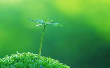 生命册的心得体会最新7篇
