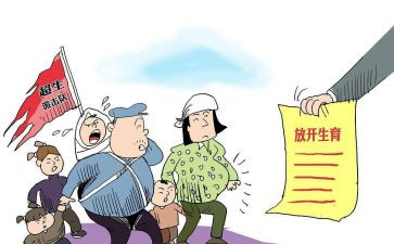 乡镇计划生育工作计划总结8篇