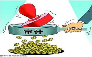 审计半年度总结精选8篇