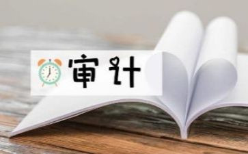 审计个人年度工作总结5篇