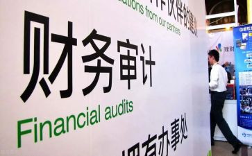 审计局审计工作总结6篇
